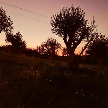 Séjour à la ferme Relais Terre Di Romanello Noto