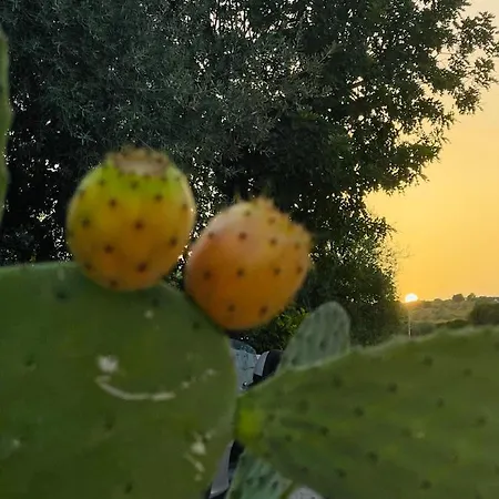 Relais Terre Di Romanello Séjour à la ferme Noto